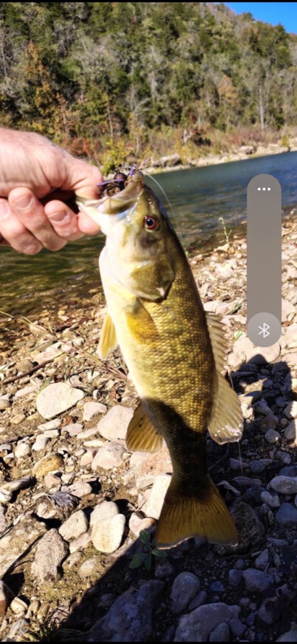 A bass with a skirted jig held above a rocky riverbank