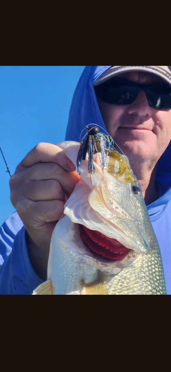 Close-up of an angler holding a bass with a skirted jig in its mouth